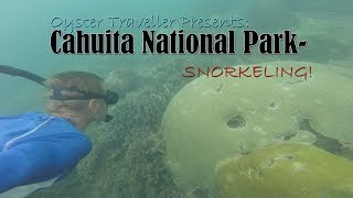 Snorkeling in Cahuita National Park Costa Rica 🐠🐡 [upl. by Onaicnop251]