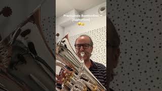 Practicando Bombardino 😀👌 trombon euphonium bombardino [upl. by Weil]