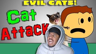 Brewstew  Cat Attack REACTION [upl. by Bamby257]