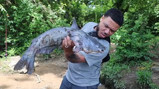 CRAZY catfish catch and cook MUST SEE [upl. by Haile]