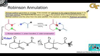 1405 The Robinson Annulation [upl. by Draillih]