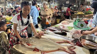 Market show  Chef pich buy big river fish and some ingredients for cooking  Cooking with Sreypich [upl. by Ennasil840]