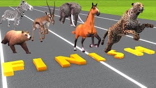 Animals Running Race Horse Race Videos For Kids  Animals Names And Sounds  Toys For Children [upl. by Hepsibah]