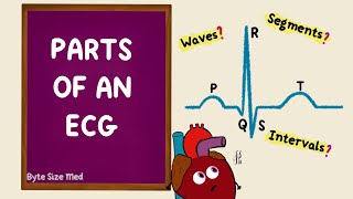 Parts of an ECG  EKG Basics  Waves Segments Intervals  Cardiac Physiology [upl. by Ramu493]