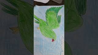 Parrot drawing parrot parrotdrawing priyudrawings [upl. by Fawne]