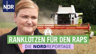 Der Erntestress ist riesig  Trecker Typen Erntezeit 1  Die Nordreportage Folge 1  NDR [upl. by Anomis]