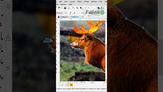 Creating a Glow Effect Vector Art Tutorial ✨🎨 [upl. by Conrade917]