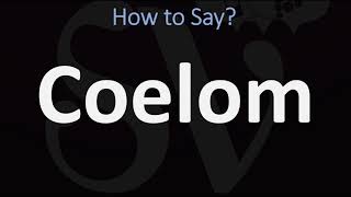 How to Pronounce Coelom CORRECTLY [upl. by Acnayb]