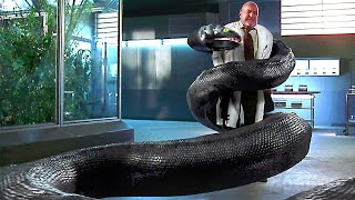 ALL the BEST Scenes from Anaconda 3 Offspring  Giant Snake Movie [upl. by Banquer73]