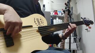 Godin A5 Ultra Natural Fretless AE DEMO [upl. by Adriell15]