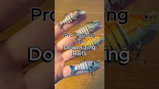 DOWNSIZE Baits to Catch More Fish fishing fishingtips bassfishing [upl. by Hillel]