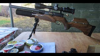 The John Bowkett blue print tuned BSA R10 SE 22 rifle 151217 [upl. by Iruy251]