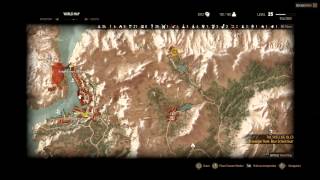 Witcher 3  How to get the Ursine Set Scavenger Hunt Bear School [upl. by Alek]