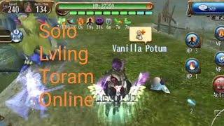 Solo Lvling lv245246 Toram Online [upl. by Eeralav]