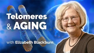 Explorations of Telomere Biology in the Context of Human Aging with Elizabeth Blackburn [upl. by Eniala]