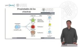 Citocinas caracterísiticas  1018  UPV [upl. by Travus]