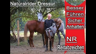 2 Pferd lernt Schritt und Anhalten Körpersprache Freiheitsdressur lernen Reiten Reitabzeichen [upl. by Atikaj90]