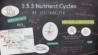 EASY REVISION AQA ALevel Biology 354 Nutrient Cycles [upl. by Jorrie743]