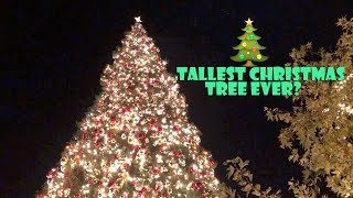 Tallest Christmas Tree Ever 🎄 WK 3636  Bratayley [upl. by Johanna]