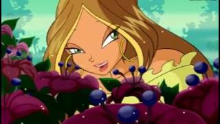 Winx Club Season 1  Hindi Opening CARTOON NETWORK Version [upl. by Abehsile]