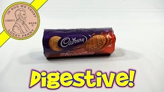 McVities Digestives Milk Chocolate Flavor  UK Snack Sampler [upl. by Assili195]