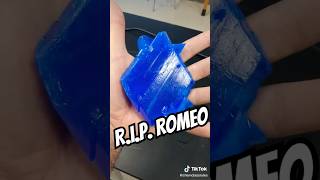 RIP Romeo my giant copper sulfate crystal gonebutneverforgotten science chemistry [upl. by Dunc296]