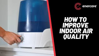 How to Improve Indoor Air Quality [upl. by Brantley]