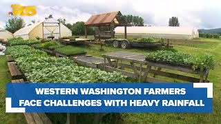 Western Washington farmers face challenges with heavy rainfall [upl. by Atinot]