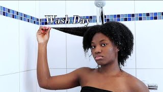 4c Natural Hair Wash Day [upl. by Enirahtak676]