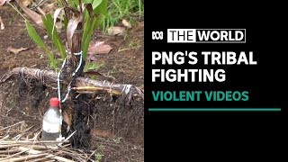 Dozens killed in tribal fighting in Papua New Guinea  The World [upl. by Zelig]