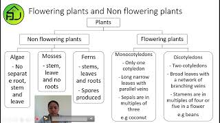 Flowering and Non flowering plants [upl. by Lazare]