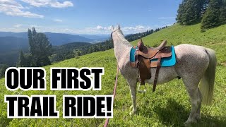 Arabian HORSE 🏔️ Trail riding in MONTANA POV [upl. by Wilhelmine]