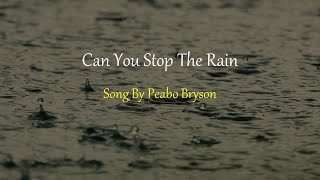 Peabo Bryson  Can You Stop The Rain [upl. by Enneite]