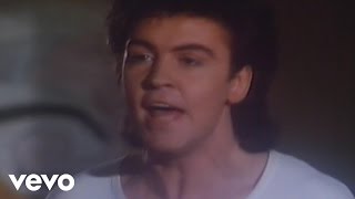 Paul Young  Im Gonna Tear Your Playhouse Down Official Video [upl. by Gerry308]