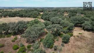 Villardiegua de la Ribera  Alrededores  4K  Drone  DJI [upl. by Davin922]