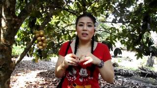 Gamhom at Kullanard Fruit Garden chanthaburi [upl. by Atilrahc161]