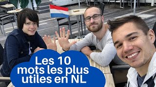 Les 10 mots les plus utiles en néerlandais  apprends le néerlandais vite et de manière efficace [upl. by Reteid]