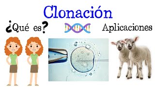 💉¿Qué es la Clonación Ejemplos y Aplicaciones🐑 Fácil y Rápido  BIOLOGÍA [upl. by Drarrej]