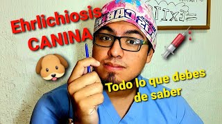 Charla Actualización sobre manejo del paciente con Ehrlichiosis diagnóstico y tratamiento [upl. by Chryste]