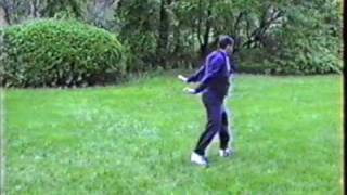 Lama Pai Kung Fu Cross Pattern Trapping Strike [upl. by Deering]