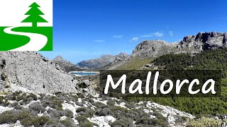 Die schönsten Wanderungen auf Mallorca [upl. by Donadee]