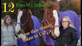 12 Days of Christmas  Barn version Horsey Christmas Special [upl. by Arica]