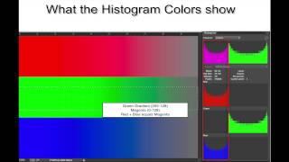 Everything you thought you wanted to know about Histograms [upl. by Moreno427]