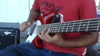 Charlie Brown Jr  Nosso blues  Bass cover [upl. by Gustavo768]