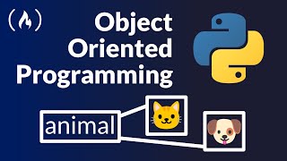 Object Oriented Programming with Python  Full Course for Beginners [upl. by Eixid663]