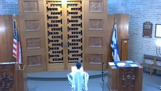 Weekday Morning Minyan  November 8 2024 [upl. by Merp]