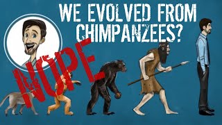 Humans Did NOT Evolve from Chimpanzees [upl. by Topliffe497]