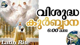 Holy Mass  600 AM  Malayalam  November 09 [upl. by Fevre]