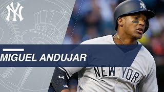 Top Prospects Miguel Andujar 3B Yankees [upl. by Maryl]