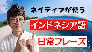 【 インドネシア語 】ネイティブがよく使う日常会話のフレーズ。会ったときやチャットでよく出てくるフレーズ。【Dengan SUBTITLE Bahasa Indonesia】 [upl. by Zippel440]